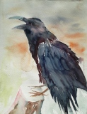 Le cri   ( 38x28)    80 € - Animaux