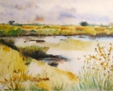 Marais vendéen 1 (30x39) 200 € - Paysages