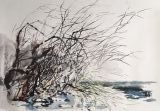 Vent glacé ( 32x45)    250 € - Paysages