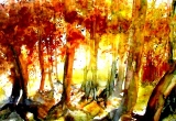 Sortilèges (35x52)       380 € - Arbres