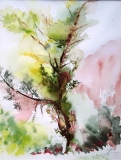 La roche aux fées ( 30x23)         90 € - Arbres