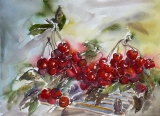 Cueillette 1 (27x37)      250€ - Natures mortes