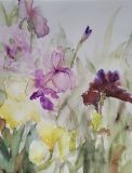 Plein champ  (39x31)     90 € - Bouquets de fleurs