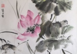 Lotus 1  (32x47)     200 €   encadré+60 - Aquarelles chinoises maroufflées
